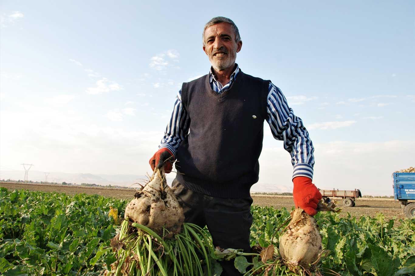 Şeker pancarı üreticileri fiyat ve hasattan memnun